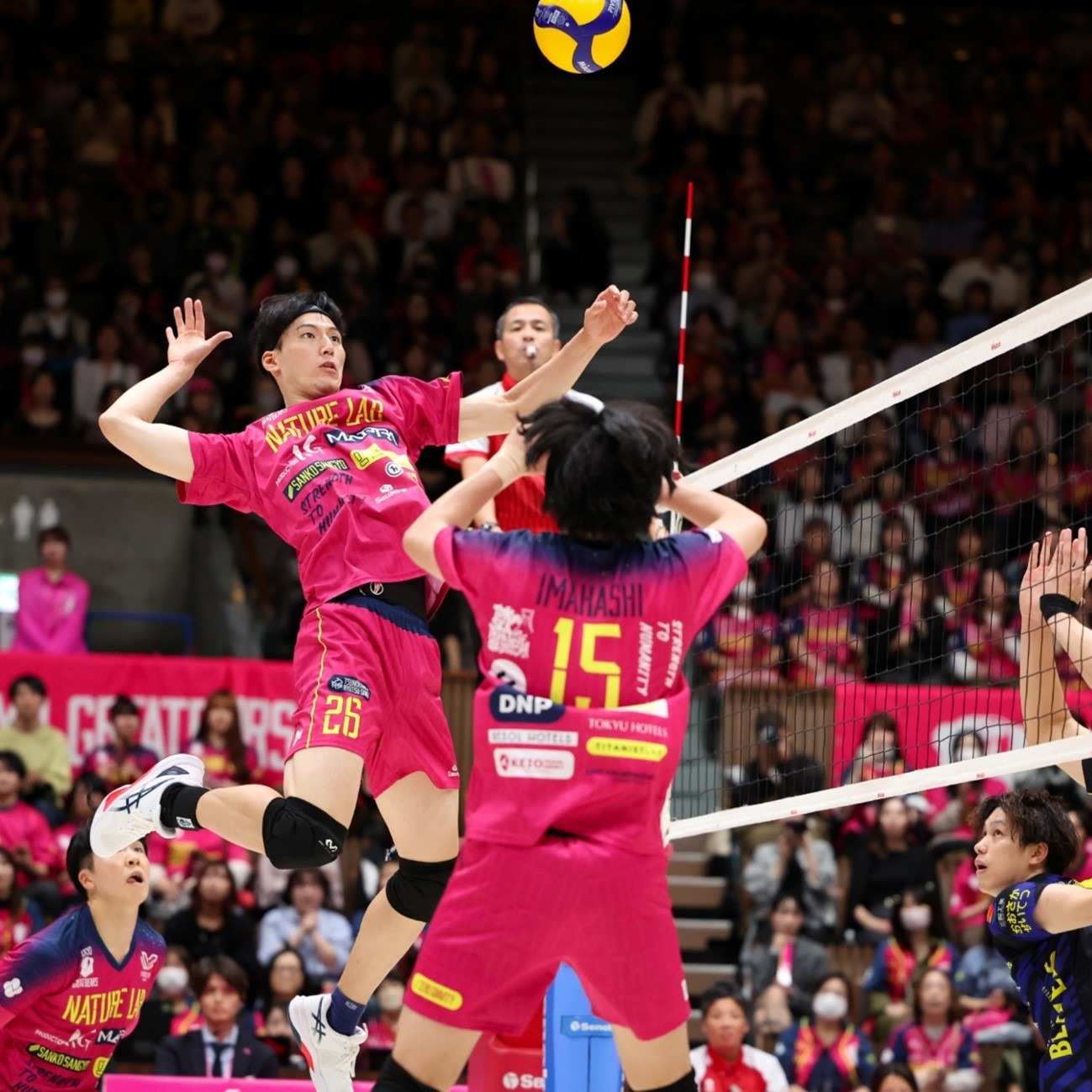 樱花谷粉色初绽，像一封没写完的情书＂